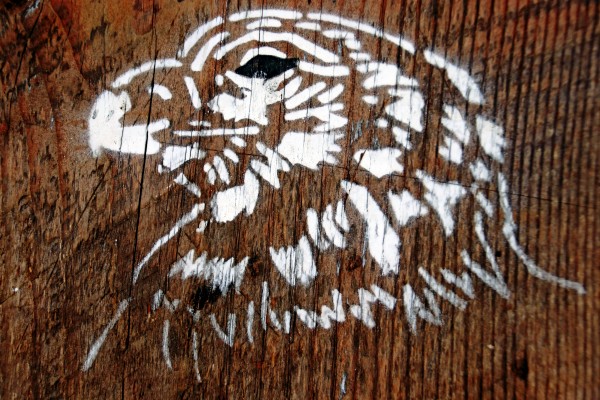 Eagle On Wood by Deb Oppermann